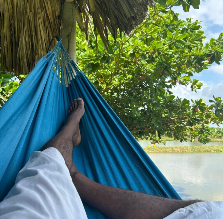Sueños del Campo Agro Tour cuenta con amplios espacios naturales diseñados para que los visitantes disfruten de un ambiente campestre lleno de tranquilidad y comodidad. Las zonas verdes, kioscos y áreas de descanso permiten compartir en familia, relajarse al aire libre y vivir una experiencia diferente rodeada de naturaleza.