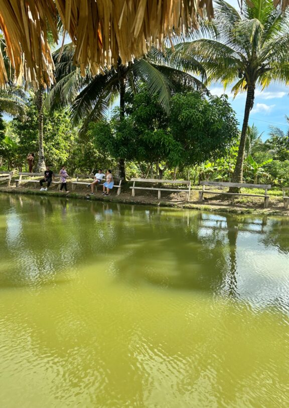 Sueños del Campo Agro Tour cuenta con amplios espacios naturales diseñados para que los visitantes disfruten de un ambiente campestre lleno de tranquilidad y comodidad. Las zonas verdes, kioscos y áreas de descanso permiten compartir en familia, relajarse al aire libre y vivir una experiencia diferente rodeada de naturaleza.