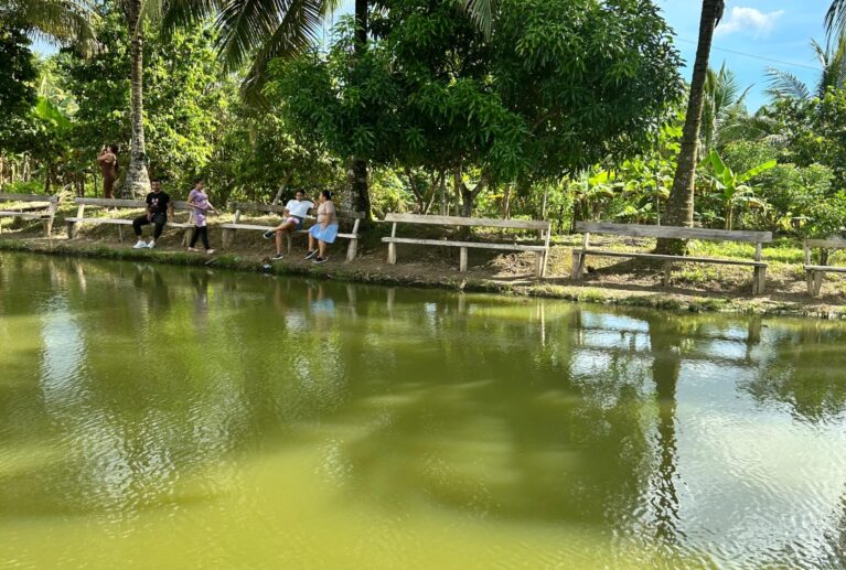 Sueños del Campo Agro Tour cuenta con amplios espacios naturales diseñados para que los visitantes disfruten de un ambiente campestre lleno de tranquilidad y comodidad. Las zonas verdes, kioscos y áreas de descanso permiten compartir en familia, relajarse al aire libre y vivir una experiencia diferente rodeada de naturaleza.
