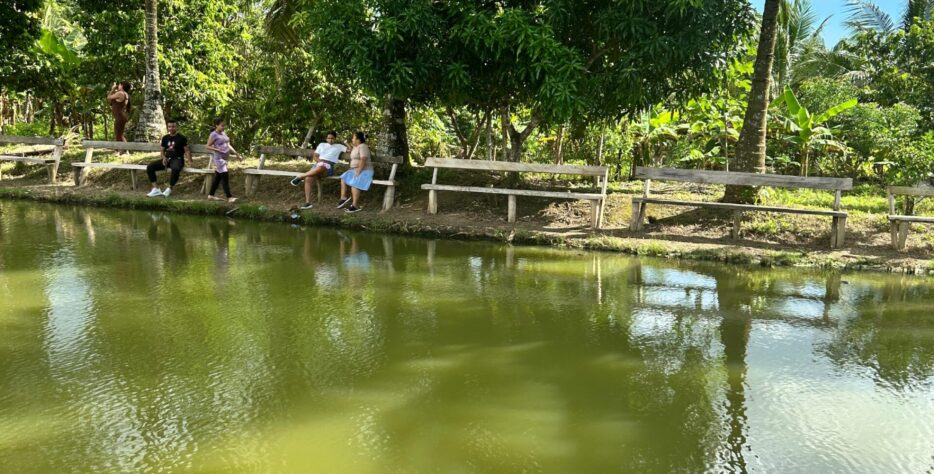 Sueños del Campo Agro Tour cuenta con amplios espacios naturales diseñados para que los visitantes disfruten de un ambiente campestre lleno de tranquilidad y comodidad. Las zonas verdes, kioscos y áreas de descanso permiten compartir en familia, relajarse al aire libre y vivir una experiencia diferente rodeada de naturaleza.
