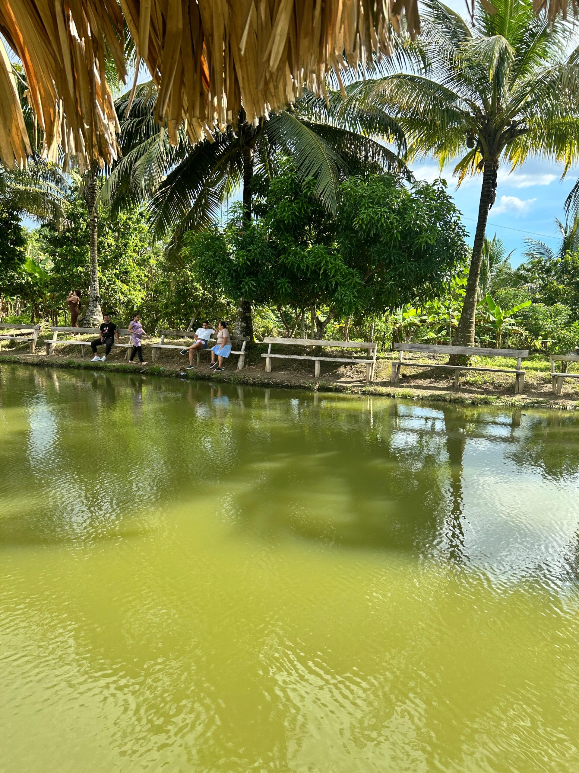 Sueños del Campo Agro Tour cuenta con amplios espacios naturales diseñados para que los visitantes disfruten de un ambiente campestre lleno de tranquilidad y comodidad. Las zonas verdes, kioscos y áreas de descanso permiten compartir en familia, relajarse al aire libre y vivir una experiencia diferente rodeada de naturaleza.