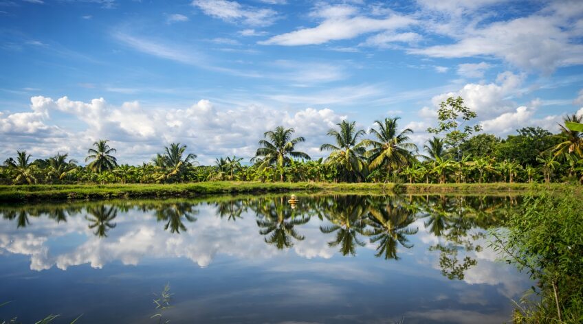 There are many variations of passages of Lorem Ipsum available, but majority have suffered teration in some form, by injected humour, or randomised words which don't look even slight believable. If you are going to use a passage of Lorem Ipsum.