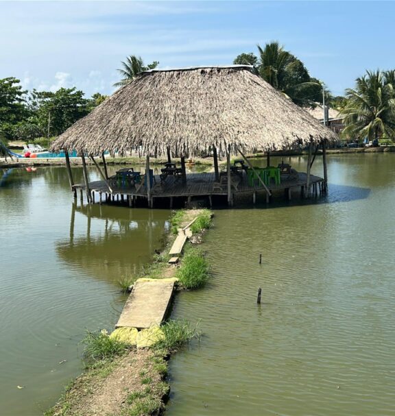 Disfruta una experiencia diferente y divertida en nuestros estanques piscícolas, ideales para compartir en familia, con amigos o simplemente relajarte mientras pescas tu propio pescado en un ambiente natural y tranquilo.
