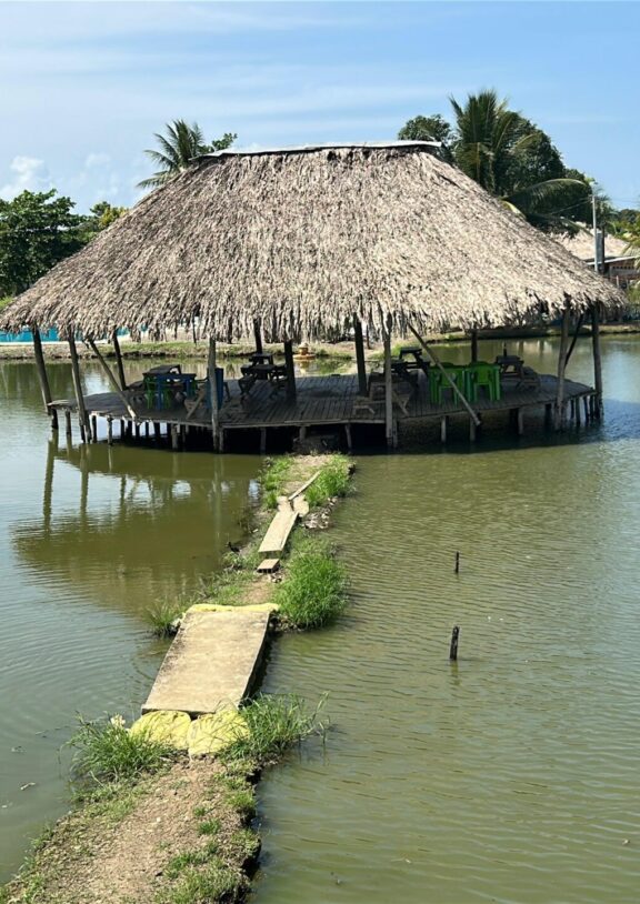 Disfruta una experiencia diferente y divertida en nuestros estanques piscícolas, ideales para compartir en familia, con amigos o simplemente relajarte mientras pescas tu propio pescado en un ambiente natural y tranquilo.