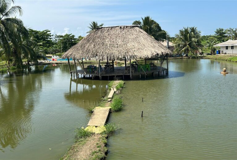 Disfruta una experiencia diferente y divertida en nuestros estanques piscícolas, ideales para compartir en familia, con amigos o simplemente relajarte mientras pescas tu propio pescado en un ambiente natural y tranquilo.