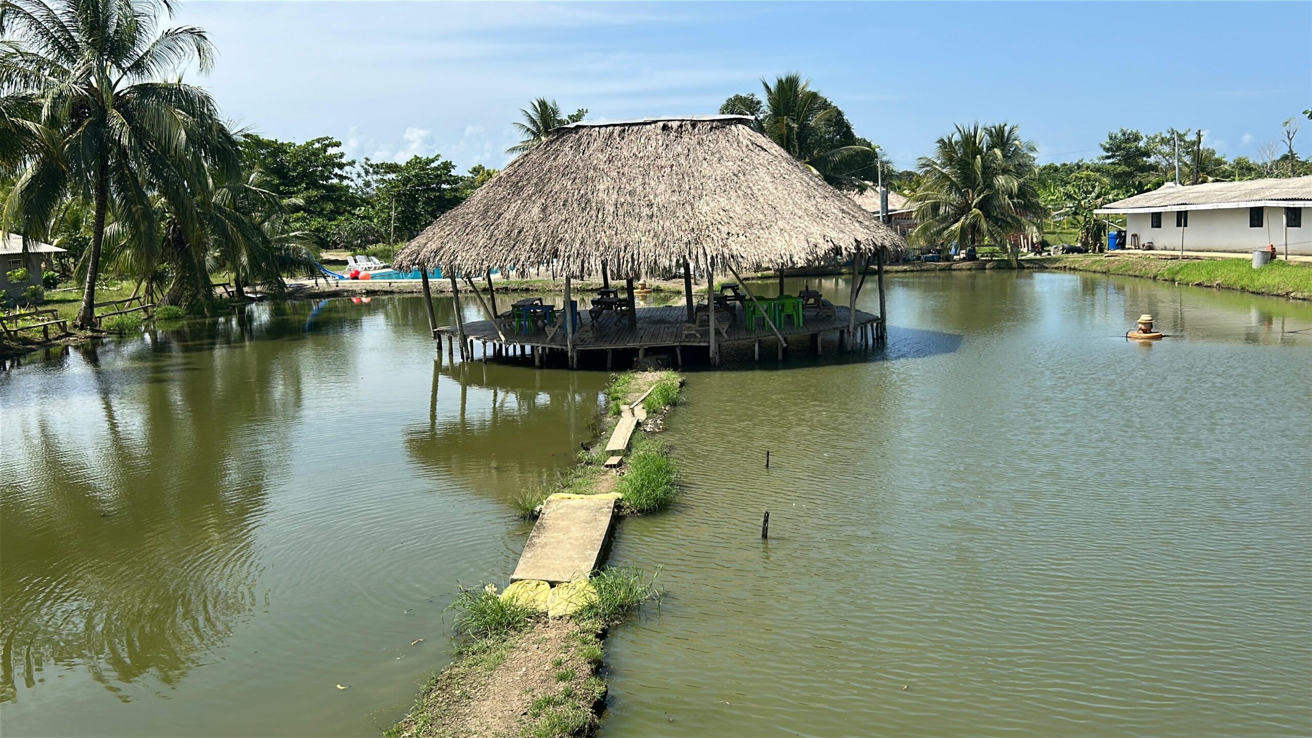 Disfruta una experiencia diferente y divertida en nuestros estanques piscícolas, ideales para compartir en familia, con amigos o simplemente relajarte mientras pescas tu propio pescado en un ambiente natural y tranquilo.