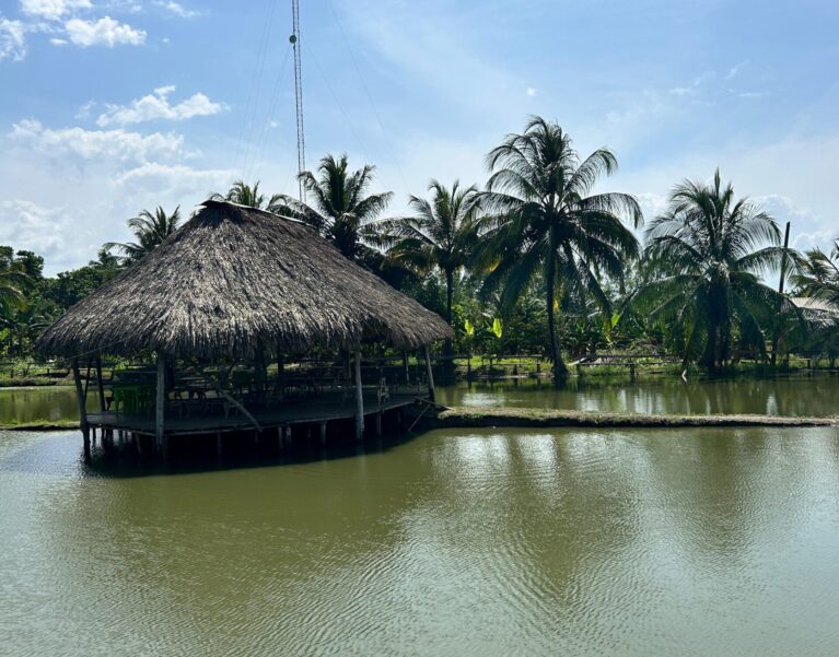 Galeria