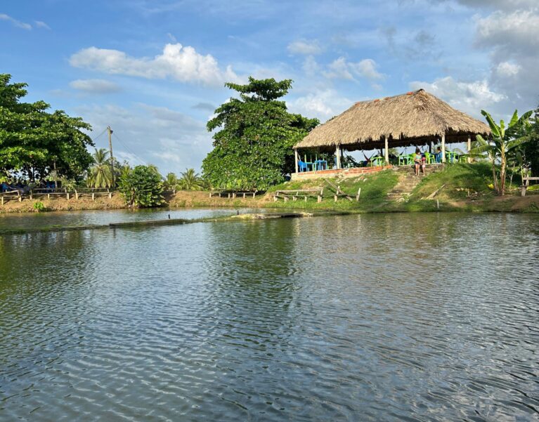 Galeria