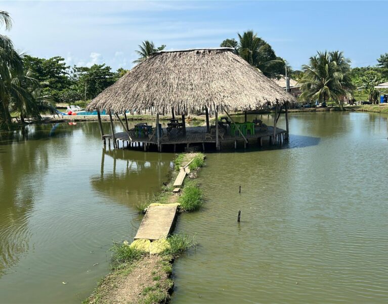 Galeria
