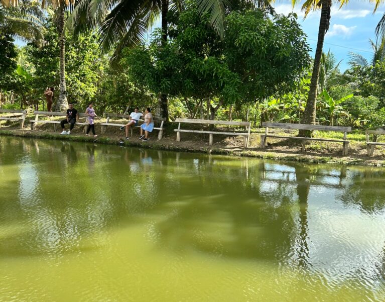Galeria