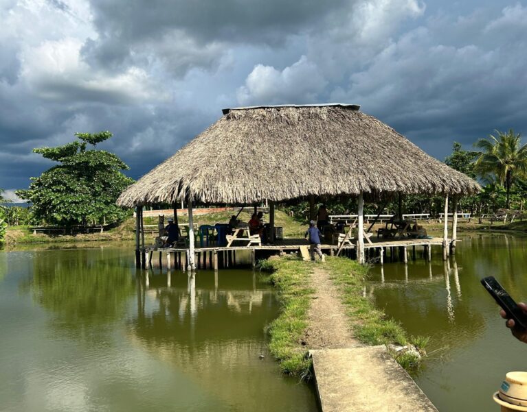 Galeria