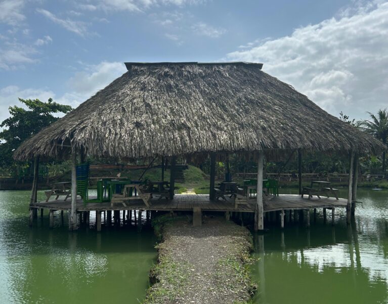 Galeria