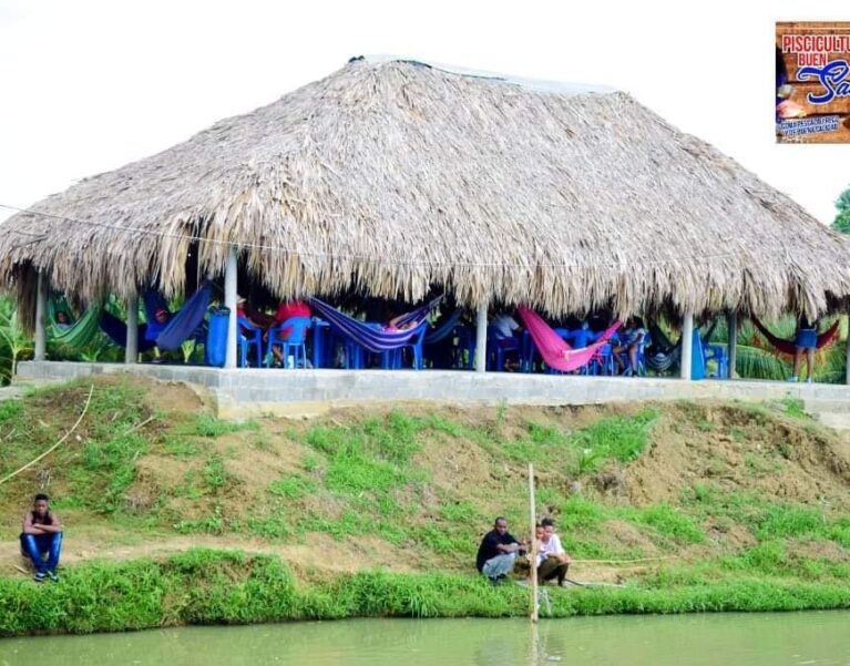 Galeria